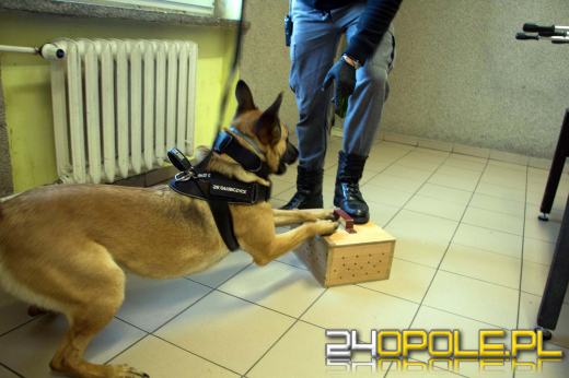 Narkotyki miały być dostarczone więźniom w bateriach