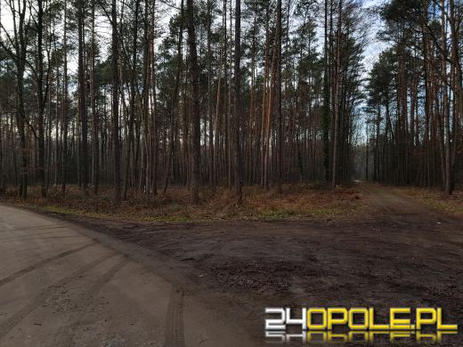 Wydano nadzwyczajny zakaz wstępu do lasu w obrębie Kędzierzyna-Koźla