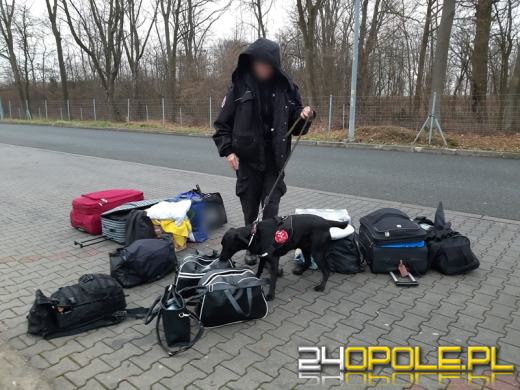 Zatrzymani na A4 mieli w torbach haszysz, marihuanę i ciastka haszyszowe