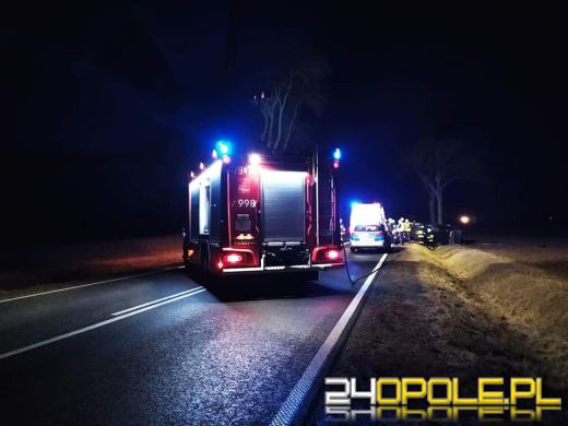 Peugeot uderzył w drzewo i przepust drogowy. Jedna osoba ranna