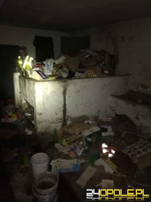 Pies cierpiał katusze. Trzymany był w oborze na łańcuchu