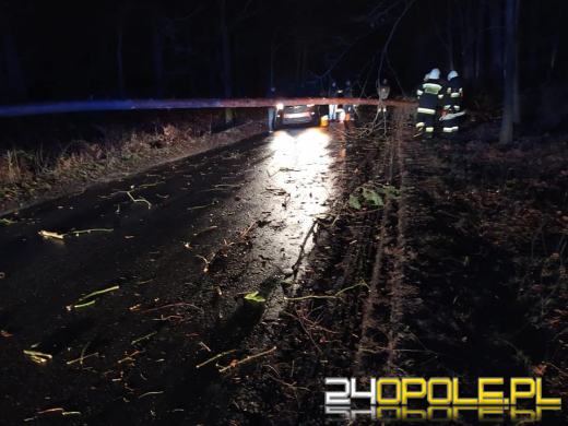 Ponad 330 interwencji strażaków w ciągu minionej doby