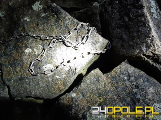 Psa przywiązali do kamienia łańcuchem i odjechali