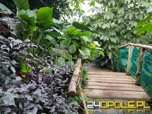 W opolskim zoo cały czas można spotkać lato 