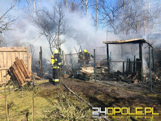 8 butli z gazem wyniesiono z płonącej altany w Zawadzkiem. Spłonęła też....kura
