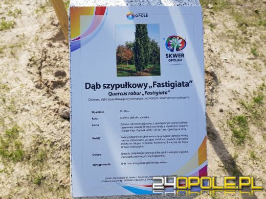 Park 800-lecia gotowy. Oficjalnego otwarcia nie będzie