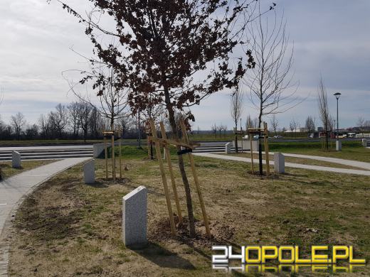 Park 800-lecia gotowy. Oficjalnego otwarcia nie będzie