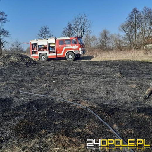 Strażacy coraz częściej interweniują przy pożarach traw 