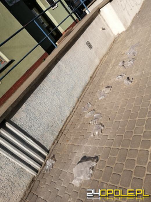 Opolanie mają problem z wyrzucaniem jednorazowych rękawiczek...do kosza