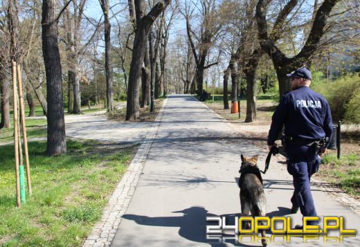 Nowy pies w służbie brzeskiej policji