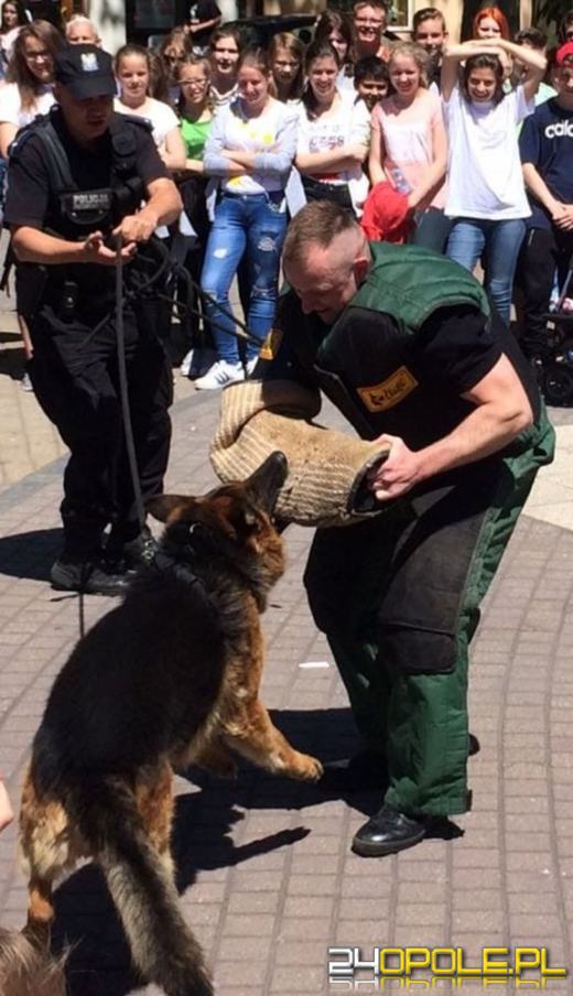 Pies Bari odszedł na emeryturę