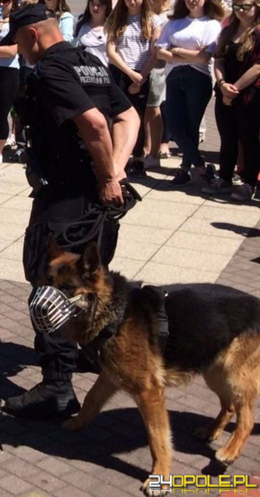 Pies Bari odszedł na emeryturę