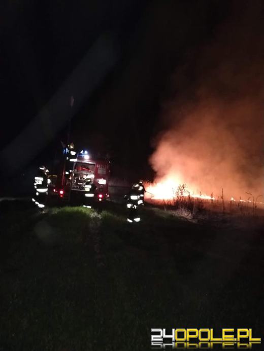 Strażacy gasili nocą pożar nieużytków. Służby apelują o rozwagę