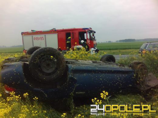 Dachowanie w rzepaku w Straduni