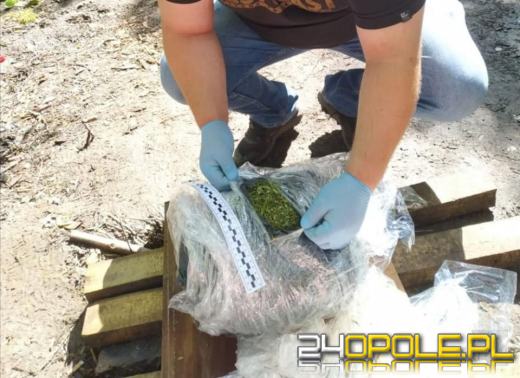 Ukrył narkotyki na ogródku działkowym