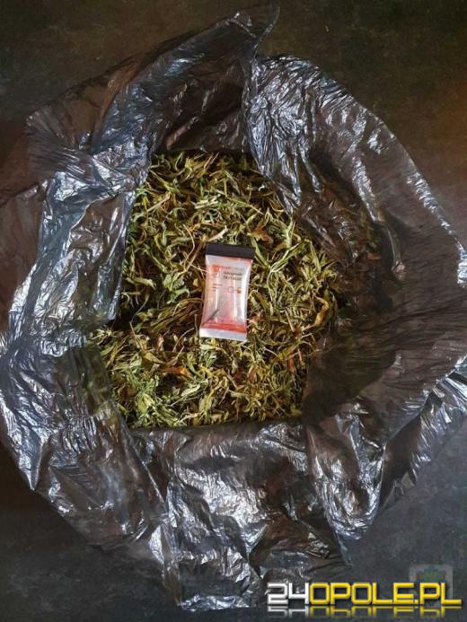 Ukrył narkotyki na ogródku działkowym