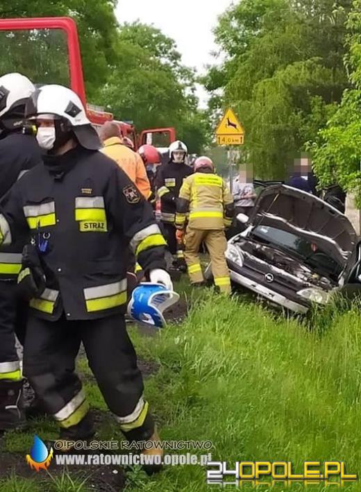 Rogalice: Matka i 3-miesięczne dziecko poszkodowani w wypadku na DK 39