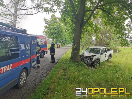 Kierowca osobówki podczas wyprzedzania uderzył w drzewo. Wypadek w gminie Murów