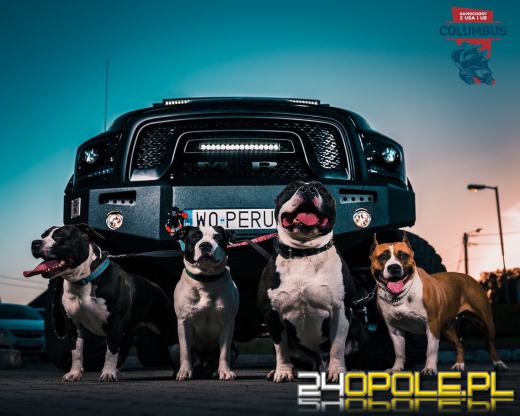 Zobacz metamorfozę Dodge Rama polskiej legendy sportów walki