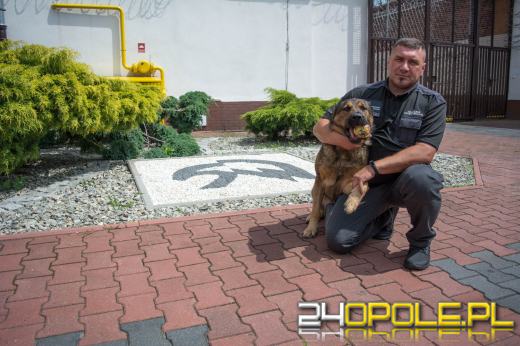 Koperty, listy nasączone narkotykiem coraz częściej w opolskich Zakładach Karnych