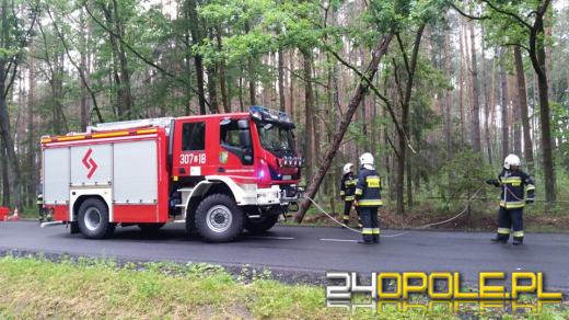 Ponad 100 interwencji straży w regionie w związku z sytuacją pogodową