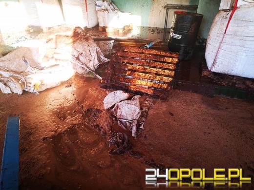 7 zastępów straży gasiło pożar łuski kakaowej