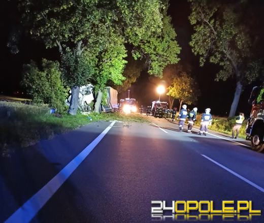 Samochód ciężarowy uderzył w drzewo. Śmiertelny wypadek w Sidzinie