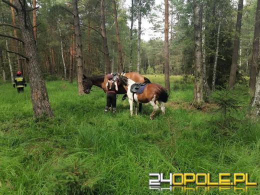 Strażacy pomogli koniowi, który ugrzązł w błocie