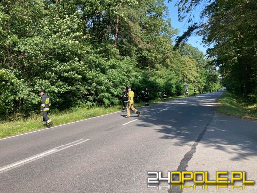 Wypadek na trasie Kup-Namysłów. Odnaleziona kilka godzin po wypadku kobieta była pijana