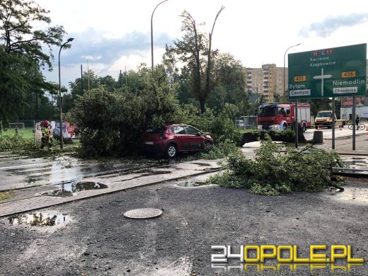 Ponad 150 interwencji straży. Służby ratunkowe usuwają skutki nawałnicy w Opolu