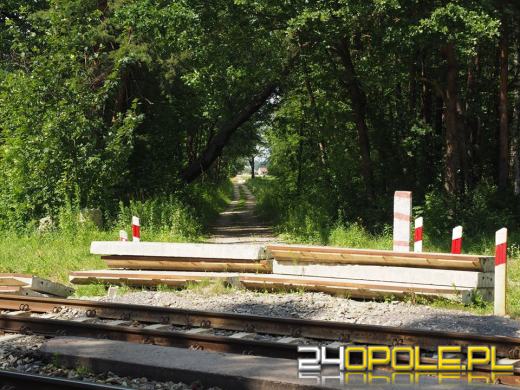 Szlak rowerowy z Maliny do Kamienia Śląskiego z przeszkodami. Rowerzyści pytają: ile jeszcze?