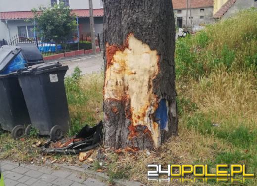 Kantorowice: Samochód osobowy uderzył w drzewo