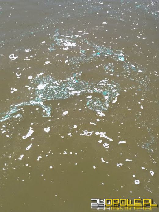 Odra zanieczyszczona farbą podczas prac na moście Sendlerowej