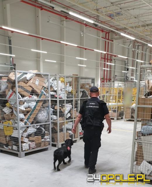 Tytoń bez akcyzy w przesyłkach kurierskich 