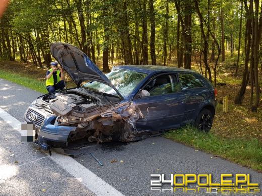 Wypadek na DK 94 na wysokości Falmirowic. Lądował LPR