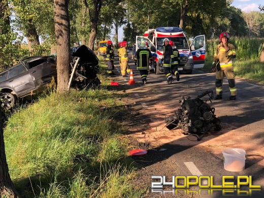 Wypadek w Wawelnie pod Opolem. Audi uderzyło w drzewo