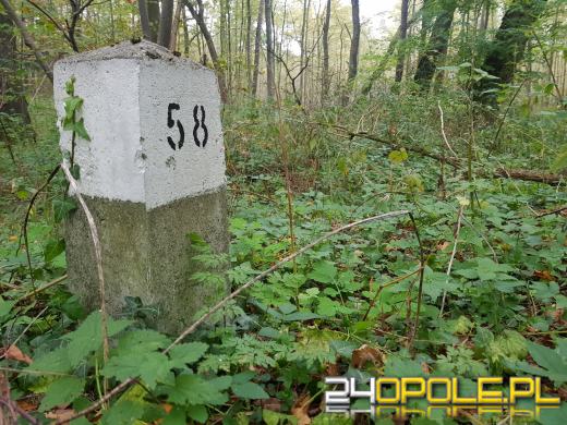 Pomyśl o swoim bezpieczeństwie zanim wybierzesz się do lasu