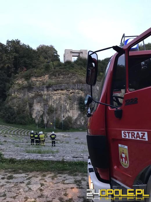 Strażacy interweniowali na amfiteatrze na Górze św. Anny. Uratowano psa