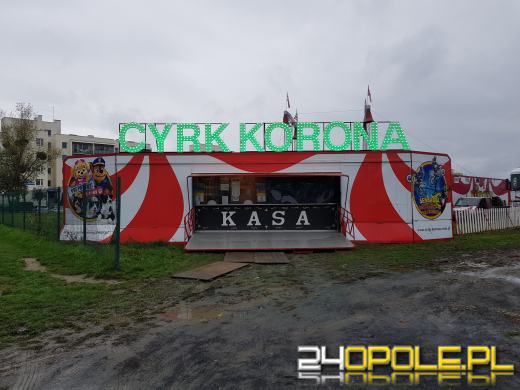 Cyrk zniszczył zielone, osiedlowe boisko. Mieszkańcy Malinki oburzeni