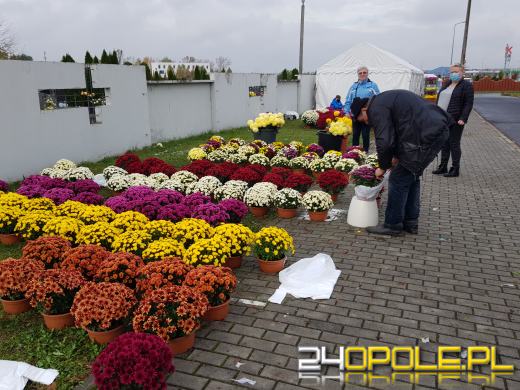 Producenci i sprzedawcy kwiatów "cmentarnych" mogą liczyć na wsparcie finansowe. Co zrobić?