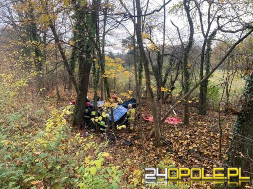 Śmiertelny wypadek na trasie Turawa-Rzędów. Nie żyje kierowca osobówki