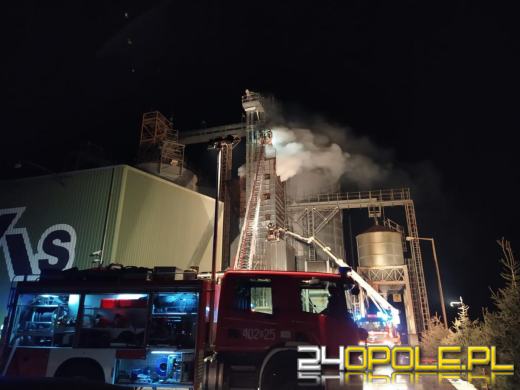 Strażacy trzecią dobę dogaszają suszarnię kukurydzy w Nowej Wsi Małej