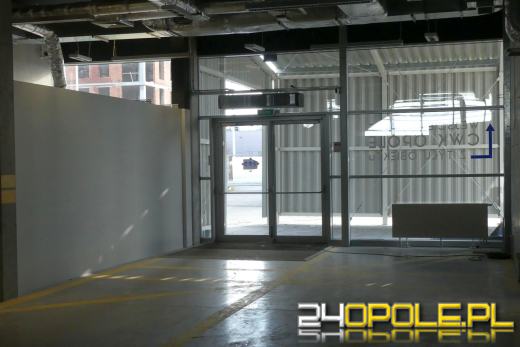 Jak powstawał Szpital Tymczasowy w CWK