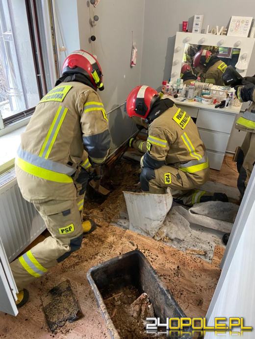 Auto dostawcze przewożące meble spłonęło w powiecie brzeskim