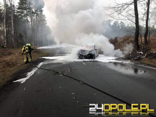 Kierowca uderzył w drzewo, a pojazd spłonął 