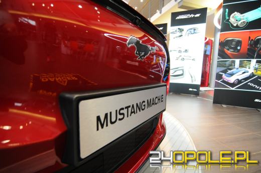 Opolski salon Forda zaprezentował elektrycznego Mustanga