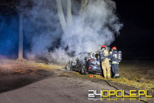 Ford uderzył w drzewo i stanął w płomieniach