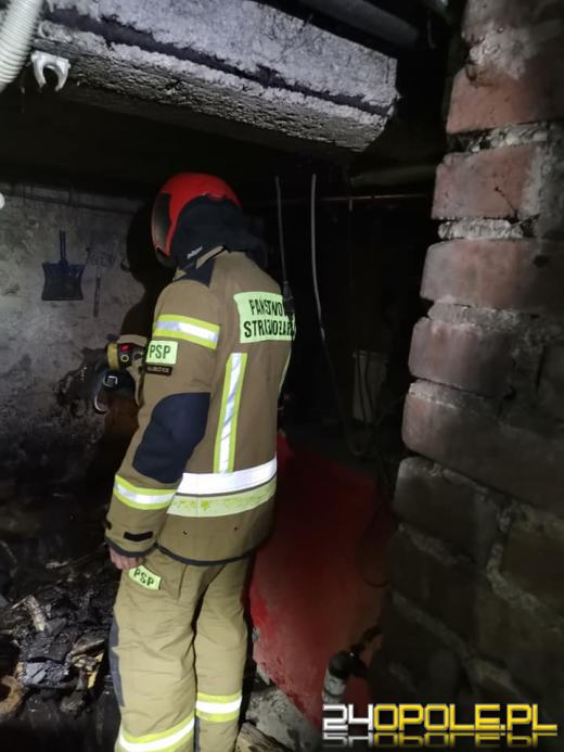 Strażacy gasili piwnicę w gminie Baborów
