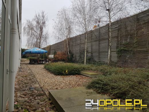 "Galeria Ozimska" już bez Tesco. Najemcy również uciekają 