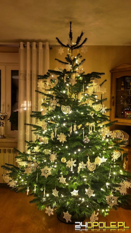 Czytelnicy pochwalili się swoimi świątecznymi drzewkami